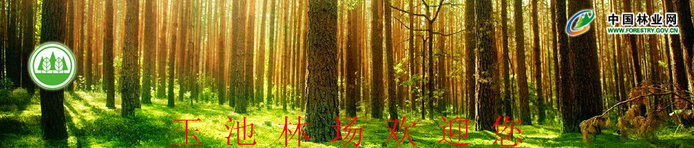 ����ͼƬ��